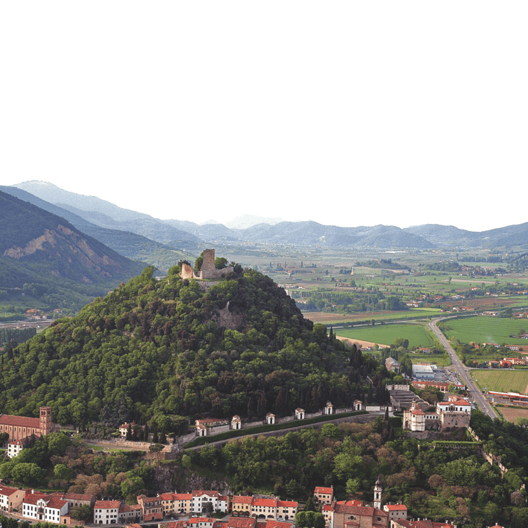 Immagine di Copertina